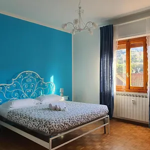 Blue Daisy Rapallo